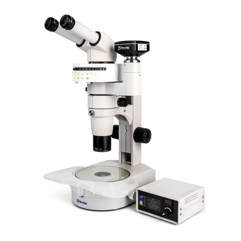 MSD516同轴光体视荧光显微镜